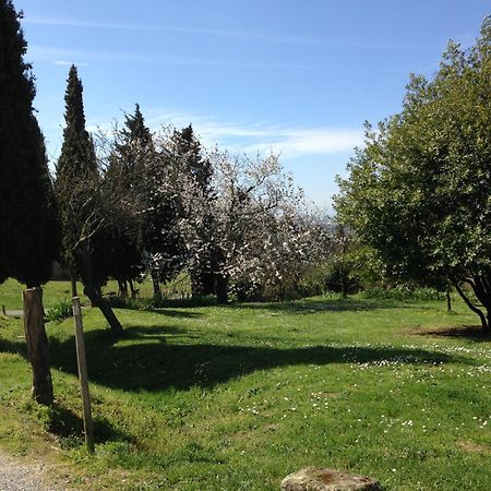 Ecuries Sainte Croix Bed & Breakfast Carcassonne Ngoại thất bức ảnh